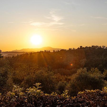Collebrunacchi B&B San Miniato Luaran gambar