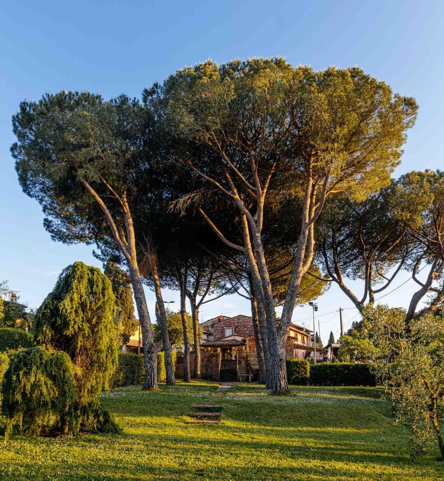 Collebrunacchi B&B San Miniato Luaran gambar